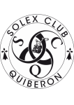 solex_logo